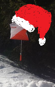 P20201220 julepost