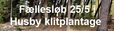 P20210521 husby pl