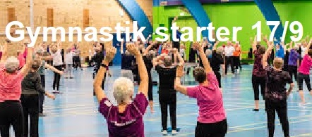P20240819 gym start
