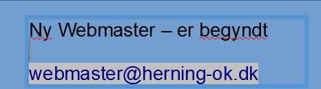 2025 01 13 Ny Webmaster Banner