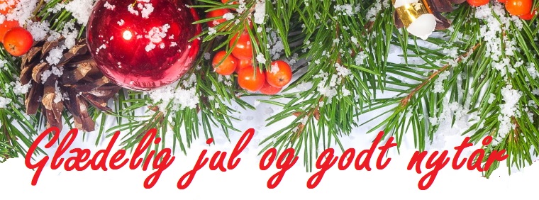 S20211224 Glaedelig jul