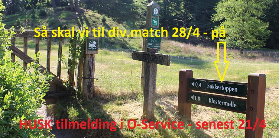 S20240417 Div match Sukkertoppen
