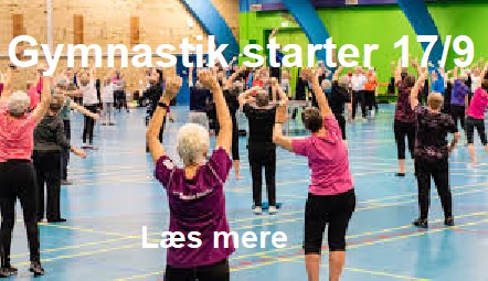 S20240819 gym start